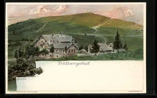 Künstler-AK C.Biese: Feldberg, Hotel Feldbergerhof