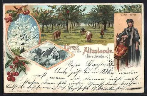 Lithographie Jork, Bauern-Gehöft, Baumhof, Altländerin