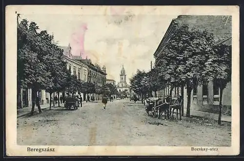 AK Beregszász, Bocskay-utca