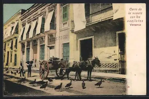 AK Veracruz, Carro de la vasura con los sapilotes