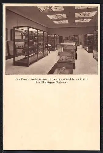 AK Halle / Saale, Das Provinzialmuseum für Vorgeschichte, Saal III (jüngere Steinzeit)