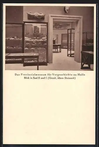 AK Halle, Das Provinzialmuseum für Vorgeschichte, Blick in Saal II und I (Urzeit, ältere Steinzeit)