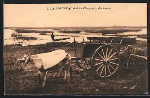 AK La Brière /Loire-Inf., Chargement des mottes