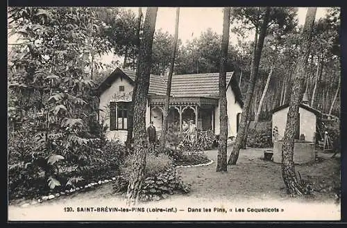 AK Saint-Brevin-les-Pins, Dans les Pins, Les Coquelicots