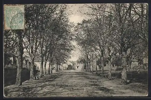 AK Sainte-Etienne-de-Montluc, Le Boulevard