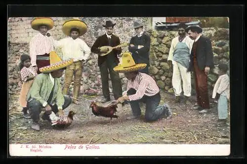 AK Mexiko, Pelea de Gallos, Kampfhähne