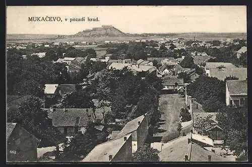 AK Mukacevo, V pozadi hrad