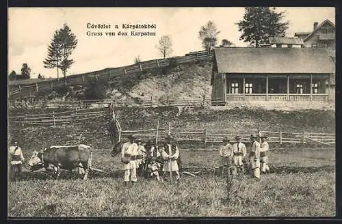 AK Karpaten, Bauern in Nationaltrachten mit Ochsen-Gespann