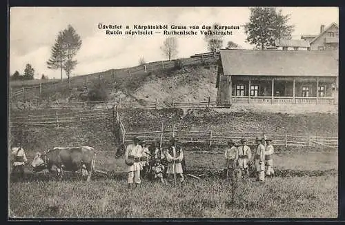 AK Karpaten, Bauern in Nationaltrachten mit Ochsen-Gespann