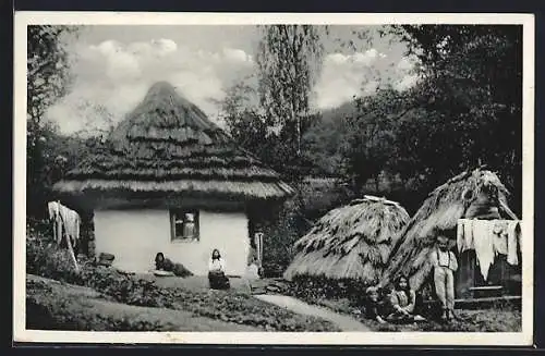 AK Podkarpatska Rus., Chata pri Volvoe