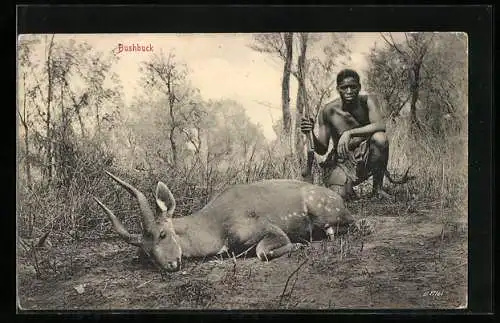 AK Südafrika, Bushbuck, afrikanischer Jäger mit erlegter Antilope