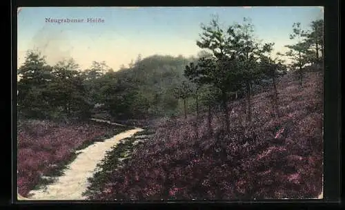 AK Hamburg, Partie in der Neugrabener Heide