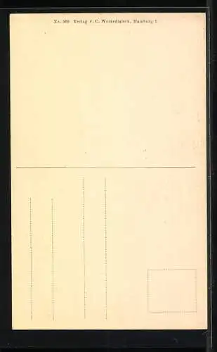 AK Alt-Hamburg, Häsuer am Hof auf den Pumpen No. 8