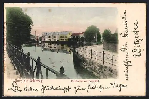 AK Schleswig, Blick auf Mühlenteich mit Herrenstall