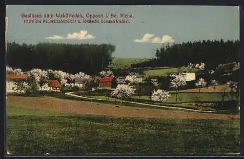 AK Oppach i. Sa., Picka, Gasthaus zum Waldfrieden