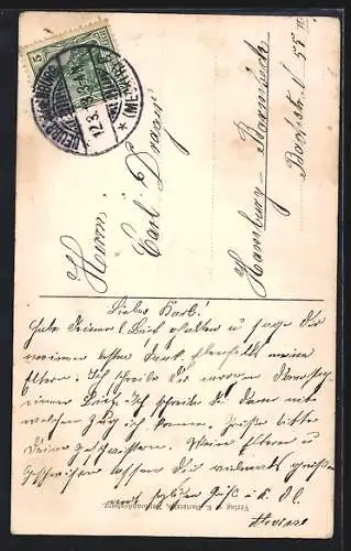 AK Neubrandenburg, Partie am Stargader Tor