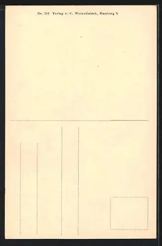 AK Alt-Hamburg, Hof in der Springeltwiete No. 20