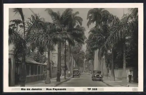 AK Rio de Janeiro, Rua Paysandu, Autos