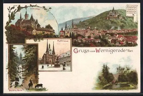 Lithographie Wernigerode, Gesamtansicht, das Rathaus, Schloss, Steinerne Renne