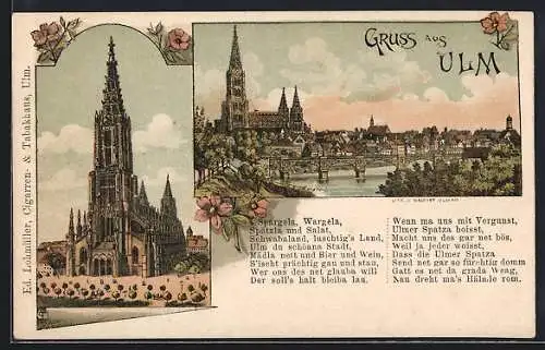 Künstler-AK Ulm / Donau, Ortsansicht mit Brücke, Münster