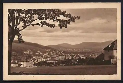 AK Tetschen-Bodenbach / Decin, Podmokly, Ortsansicht