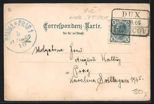 AK Dux-Duchcov, Schulviertel mit der protestantischen Kirche