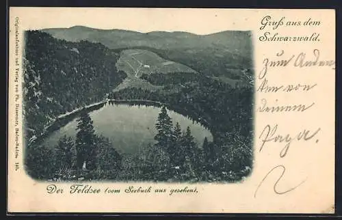 AK Feldberg / Schwarzwald, Blick auf Feldsee vom Seebuck aus