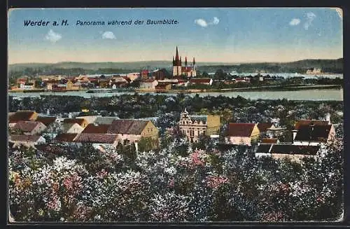 AK Werder a. H., Panorama während der Baumblüte