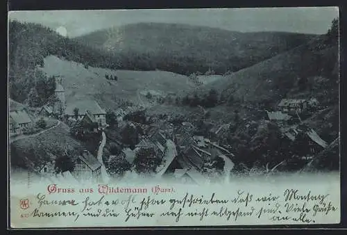 Mondschein-AK Wildemann /Harz, Teilansicht mit Strassenpartie