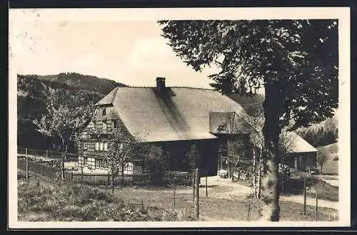 AK Hinterzarten, Hotel Haus Bürklehof