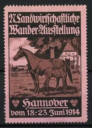 Reklamemarke Hannover, 27. Landwirtschaftliche Wander-Ausstellung 1914, Stute mit Fohlen, Pferd