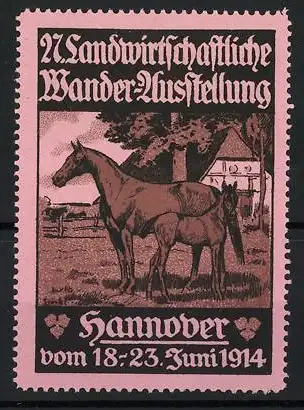 Reklamemarke Hannover, 27. Landwirtschaftliche Wander-Ausstellung 1914, Stute mit Fohlen, Pferd