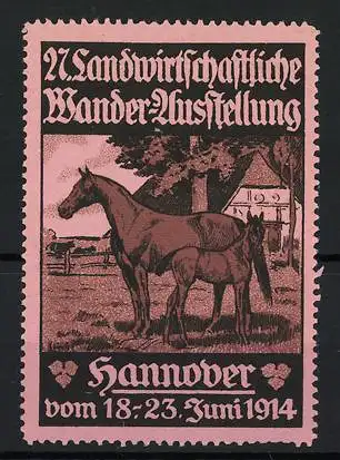 Reklamemarke Hannover, 27. Landwirtschaftliche Wander-Ausstellung 1914, Stute mit Fohlen, Pferd