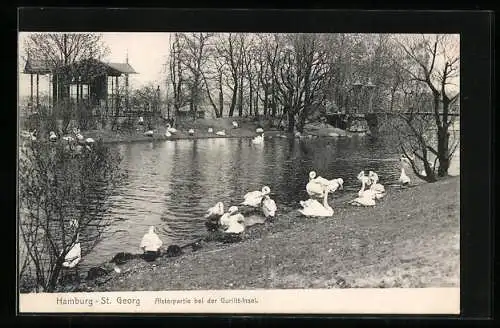 AK Hamburg-St. Georg, Alsterpartie bei der Gurlitt-Insel