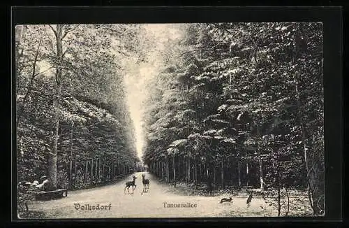 AK Volksdorf, Tannenallee mit Waldtieren