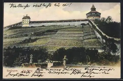 AK Esslingen / Neckar, Burg mit Umgebung