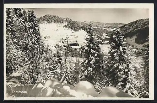 AK Todtmoos, Ortsansicht mit Umgebung in Winter