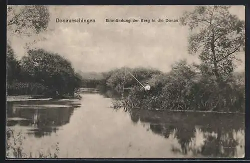 AK Donaueschingen, Einmündung der Breg in die Donau