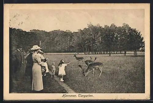 AK Hannover, Tiergarten mit Hirschen