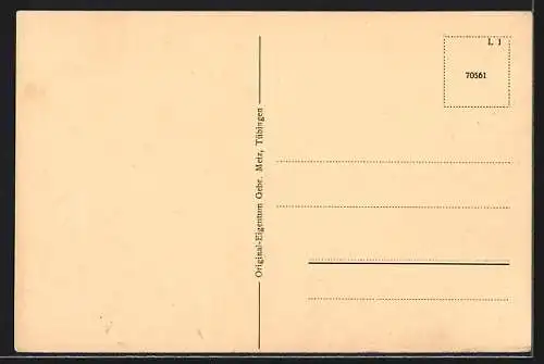 AK Donaueschingen, Partie in der Karlstrasse