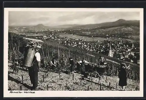 AK Ahrweiler, Teilansicht und Bauern bei der Weinlese