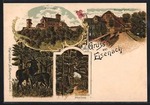 Lithographie Eisenach, Wartburg, Wartburghof, Durchblick v. d. Hohen Sonne