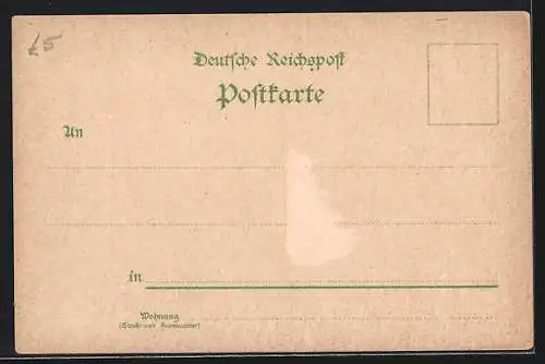 Lithographie Goslar, Gesamtansicht, Kaiserpfalz, Brusttuch