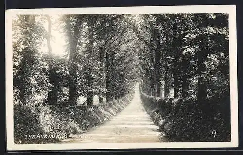 AK Ufford, The Avenue