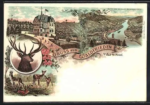 Lithographie Alf a. d. Mosel, Hotel Waldfrieden, Blick moselabwärts, Rehe und Fuchs