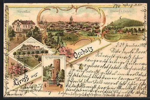 Lithographie Oschatz, Forsthaus, Weinberg, Kriegerdenkmal