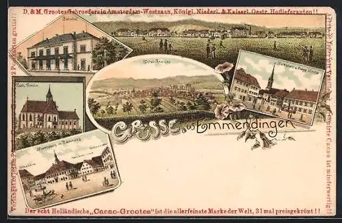 Lithographie Emmendingen, Bahnhof, Marktplatz mit Rathaus, Panorama mit Heilanstalt