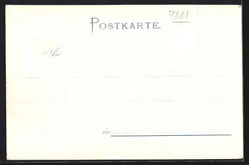 Lithographie Hornberg / Schwarzwald, Bauernhaus u. Volkstracht in Gutach, Gesamtansicht mit Viadukt