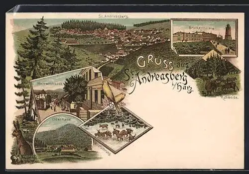 Lithographie St. Andreasberg /Harz, Brockenhotel, Oderhaus, Herrenstrasse, Gesamtansicht