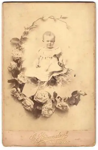 Fotografie C. Pagendorf, Hannover, Georgstr. 17, Baby auf Fell sitzend von Rosenranke umgeben